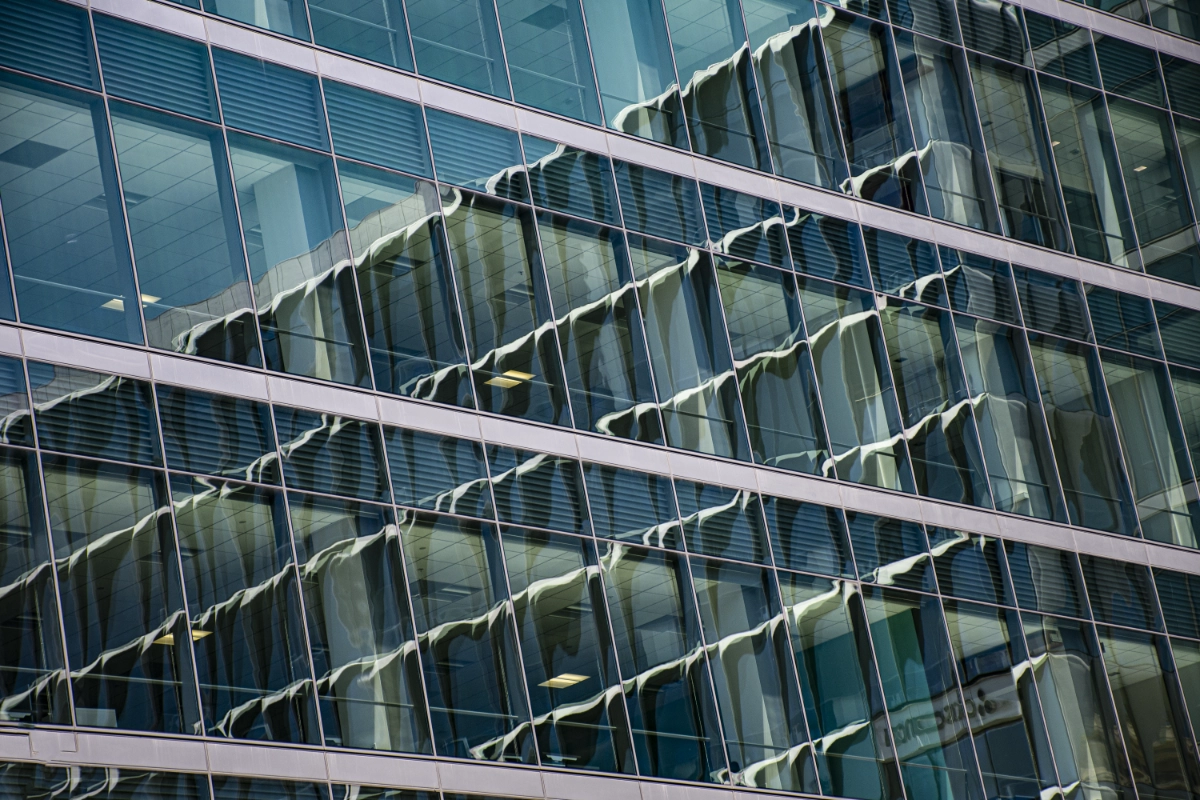 Reflection #293