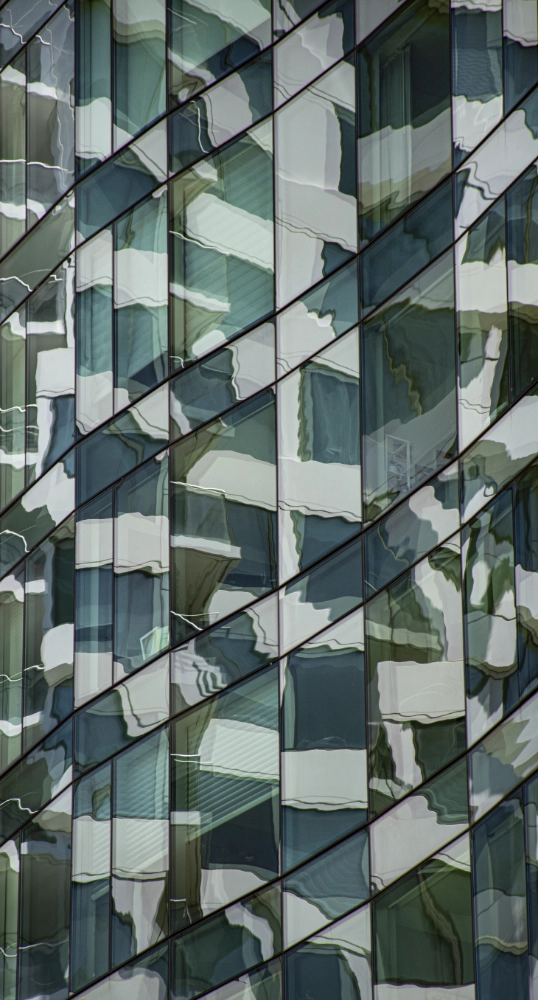 Reflection #338